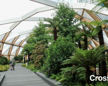 Crossrail Place Roof Garden