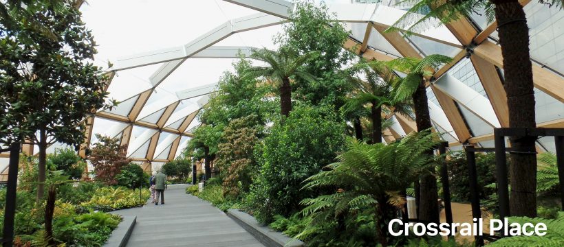 Crossrail Place Roof Garden