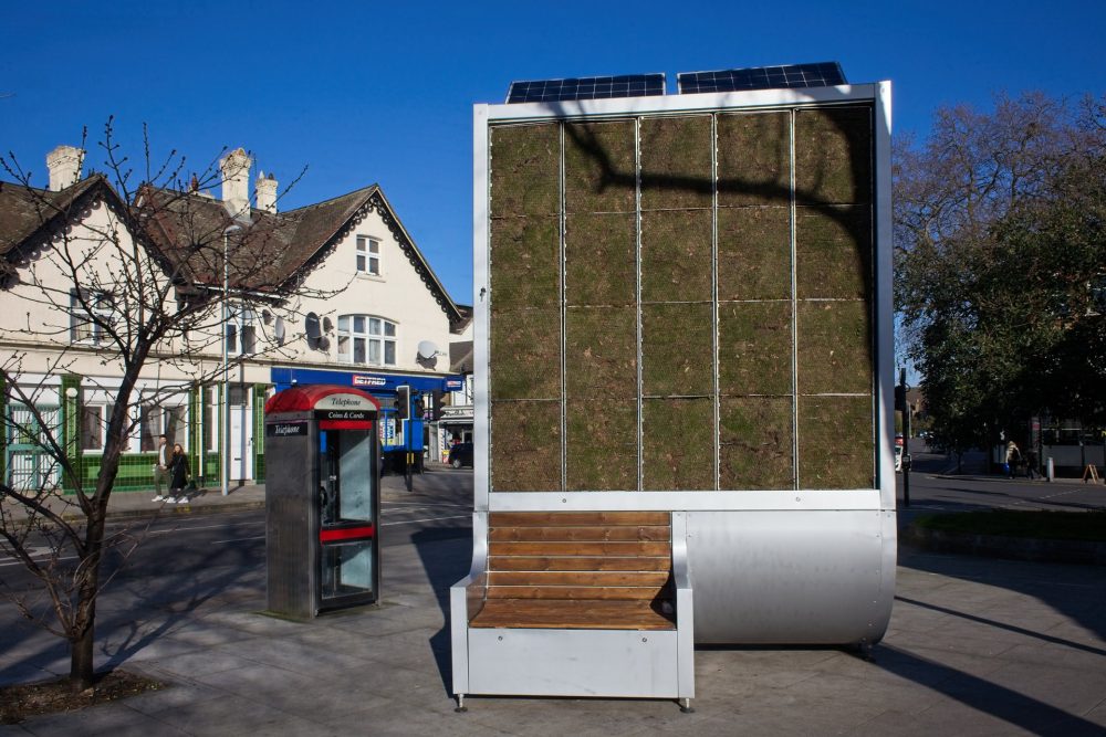 City Tree at the Thatched House High Road Leytonstone, London, E15 1SE