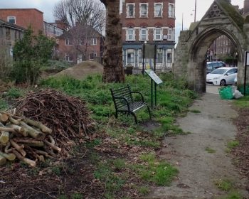 St Leonard's Cemetery needs a bit of TLC to turn it into a park