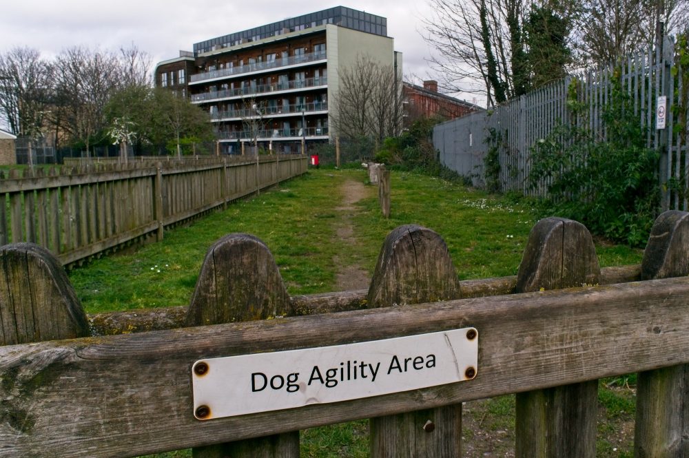 Four Seasons Green dog agility area