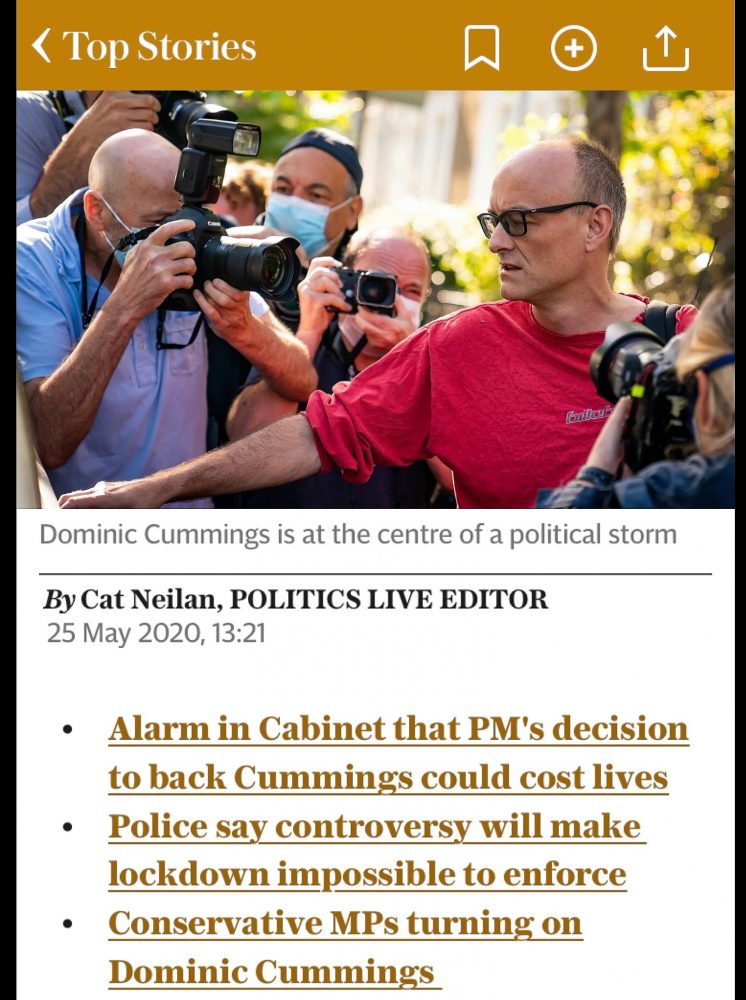 The Cummings comedy in the Daily Telegraph app 25th May 2010