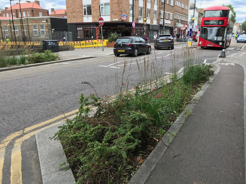 Planting and a cycle lane Roman Road