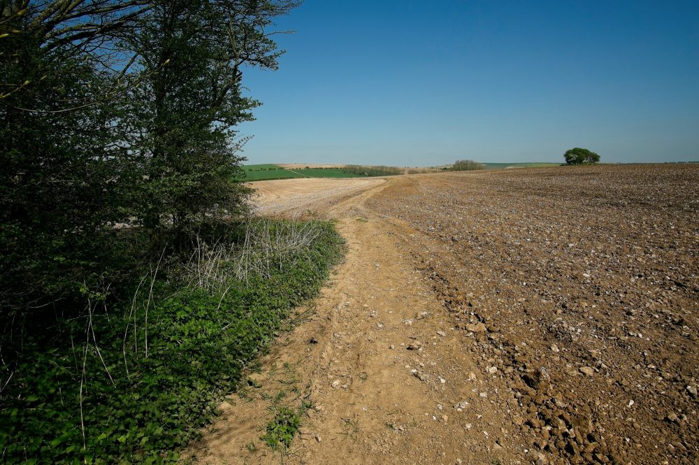 Between Clayton & the Chattri Memorial