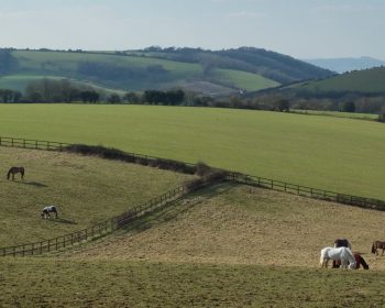 South Downs near Clayton