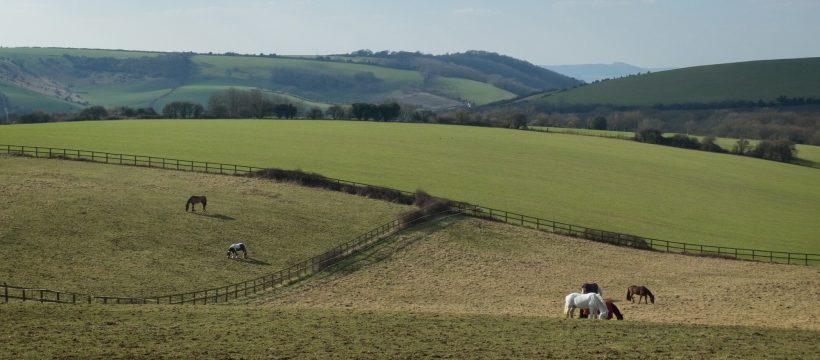 South Downs near Clayton