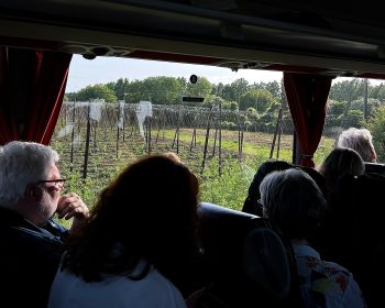 Passing though hop fields in Kent