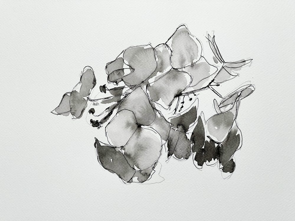 Alan's pen and brush ink sketch at Chisenhale Studios taught by Joy Girvin