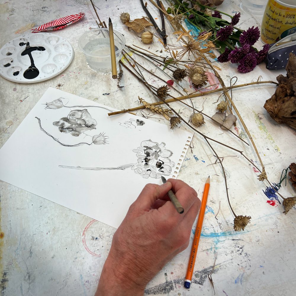 Sketching dried flowers at using indian ink