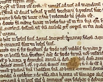 From the 1217 Charter of the Forest