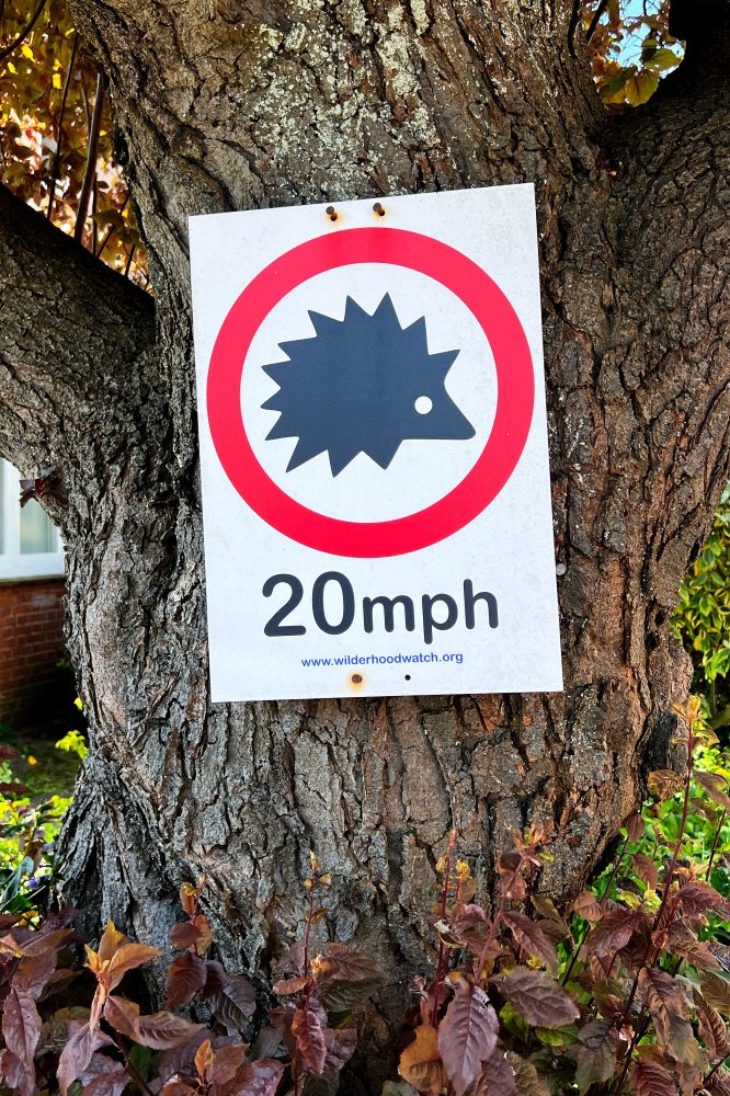 Hedgehogs 20mph sign Cambridge